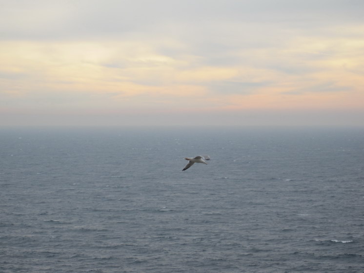 Чайки над морем, Лльорет де Мар
