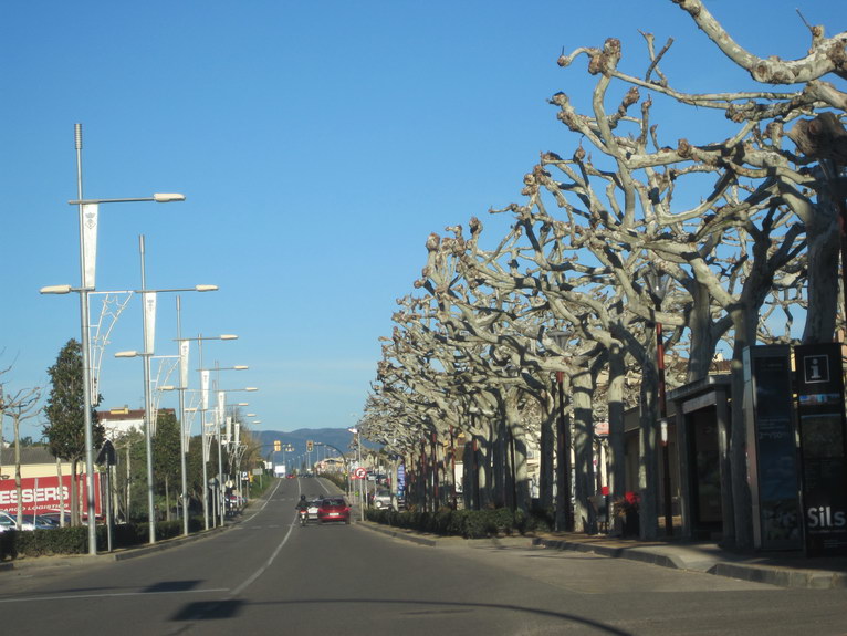 Странные деревья, Испания