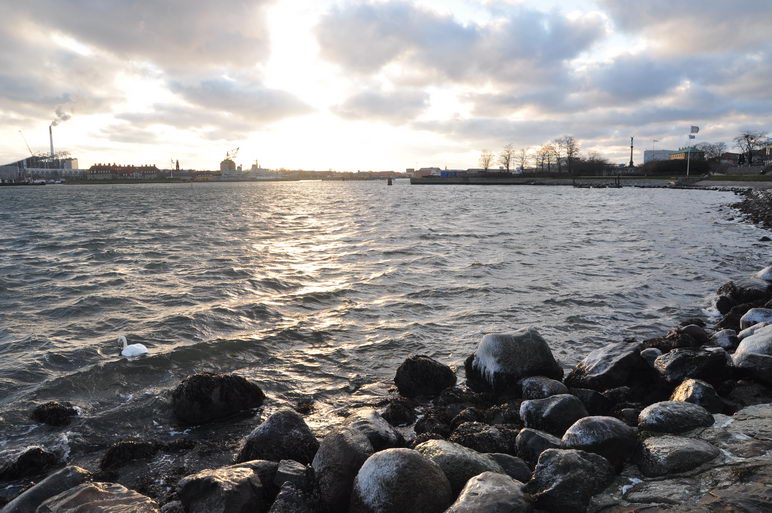 Холодный берег Копенгагена