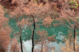 Зеленый каньон в Турции и лесные пожары